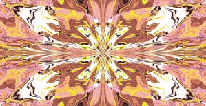 Abstract Butterfly 27